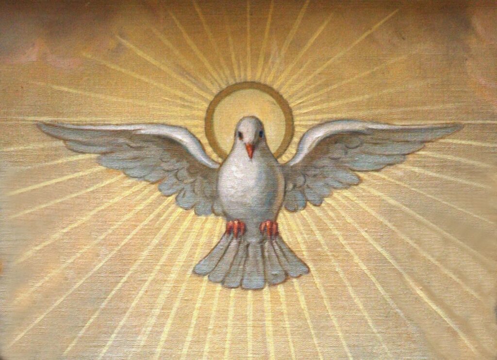 Por qué se utiliza la imagen de la paloma como de la paz